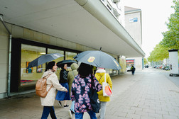 Eine Gruppe von Menschen geht an einem regnerischen Tag mit schwarzen Regenschirmen einen Bürgersteig entlang. Die meisten tragen Jacken oder Regenmäntel, und Bäume säumen die Straße unter einem bewölkten Himmel.